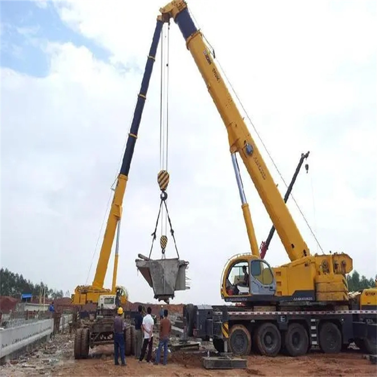 静海小型吊机出租电话|厂房设备吊装方案|24小时服务覆盖